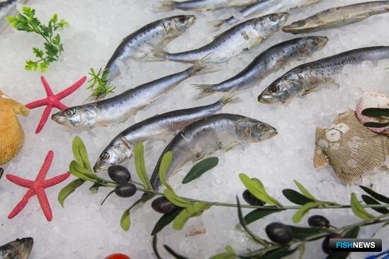 Вылов иваси превысил 174 тыс. тонн Вылов иваси превысил 174 тыс. тонн