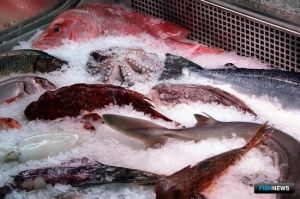 Эмбарго на ввоз сельхозпродукции продлили еще на год