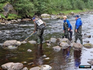 Наука оценит популяции семги и кумжи на Вологодчине