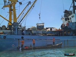 Рыбаки Приморья продолжают работать на кете