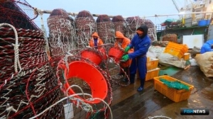 Победителям крабовых аукционов предстоит построить суда и логистические комплексы