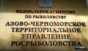 Озеро под Воронежем вызвало ажиотаж среди рыбоводов