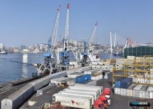 Мультимодальный сервис по доставке уловов презентуют на Cold Chain Eurasia