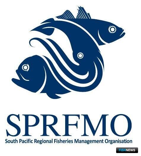 Специалисты рекомендуют добывать больше ставриды в ЮТО