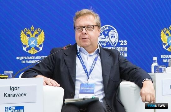 Рыбе предложили путь вина и фестивалей