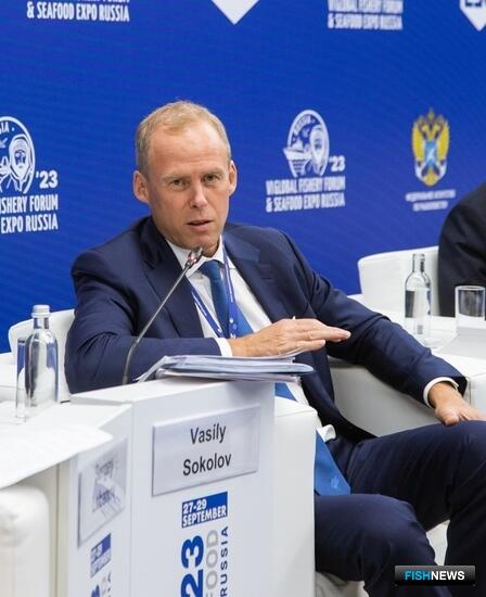 Рыбе предложили путь вина и фестивалей