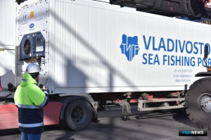 О единой дороге для рыбы рассказали в Санкт-Петербурге