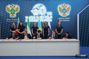 Каспийских осетровых избавят от промысла и в 2024 году