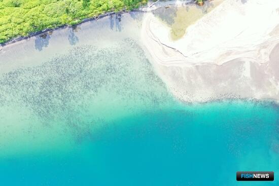 Нерку Курильского озера оградят от туристов