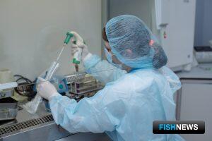 Российские уловы не «фонят» Российские уловы не «фонят»