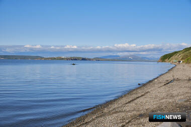 Чукотка анализирует неудачную лососевую путину