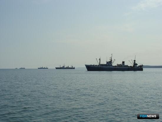 Предприятиям с незаконным иностранным влиянием перекроют доступ к промыслу Предприятиям с незаконным иностранным влиянием перекроют доступ к промыслу