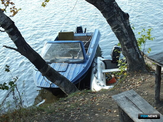 Конфискованную рыбу, лодки и снасти предлагают передавать регионам
