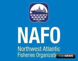 НАФО определила квоты-2024