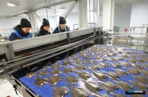Рыбопереработка получила критерии для господдержки