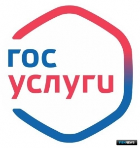 Обжаловать проверку помогут &laquo;Госуслуги&raquo;