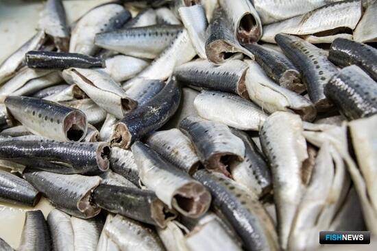 В Приморье взяли изготовителей поддельной «сайры»