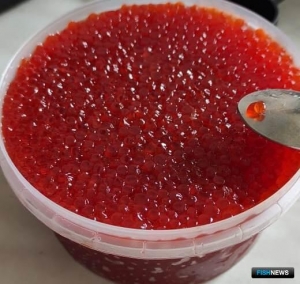 На Камчатке вынесут приговор по делу об &laquo;икорной&raquo; ОПГ