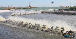 Вьетнам надеется на улучшение ситуации с продажами креветки