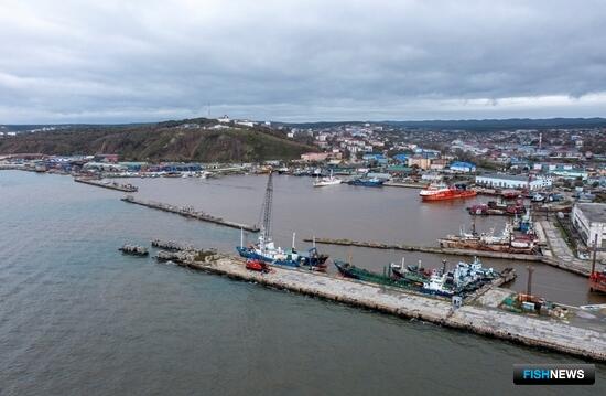 В Корсакове готовятся создать рыбный кластер