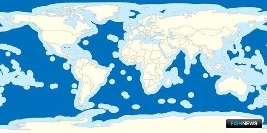Россия не планирует присоединяться к &laquo;Договору об открытом море&raquo;