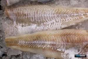 Росрыболовство отмечает позитив по экспорту и переработке уловов