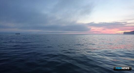 Япония пообещала открыто информировать о проверках рыбопродукции