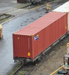 Нынешний сентябрь стал особенно &laquo;рыбным&raquo; для ДВЖД