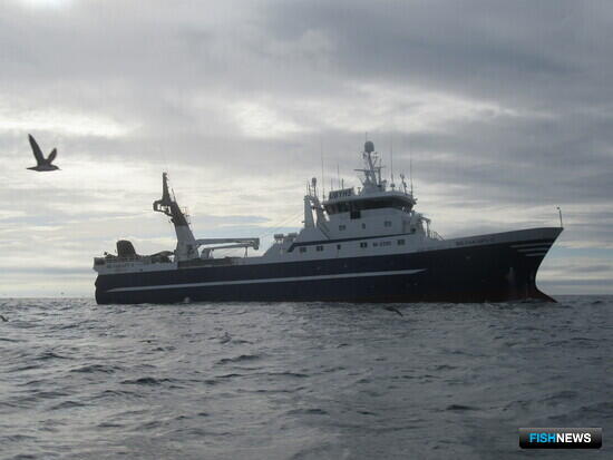 ПИНРО собрал информацию по атлантическим окуням и палтусу