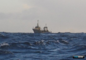 Минсельхоз готовит ориентиры для контроля безопасности рыбацких судов