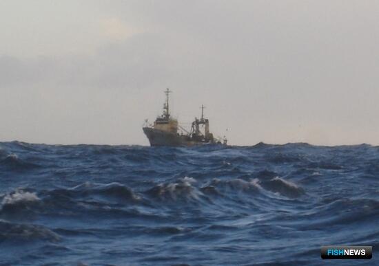 Минсельхоз готовит ориентиры для контроля безопасности рыбацких судов Минсельхоз готовит ориентиры для контроля безопасности рыбацких судов