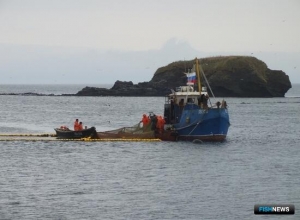 Кета пополняет статистику путины в Сахалинской области