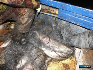 Камчатский край предлагает блок антибраконьерских поправок