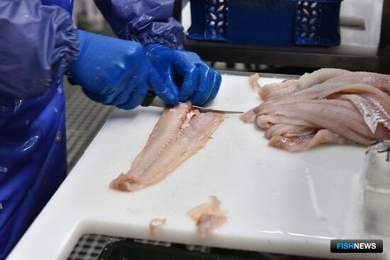 Сенаторы и депутат предложили не ждать с вычетами по промысловому сбору Сенаторы и депутат предложили не ждать с вычетами по промысловому сбору