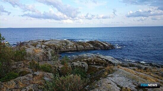 Более 50 млн рублей получит бюджет за два участка на Ладоге