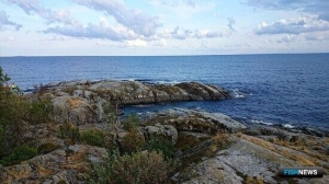 Более 50 млн рублей получит бюджет за два участка на Ладоге