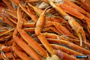 Результаты крабовых аукционов станут известны на этой неделе