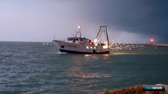 Европарламент проголосовал за ужесточение контроля за промыслом Европарламент проголосовал за ужесточение контроля за промыслом