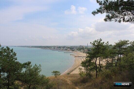 Крымские акватории предоставляют под марикультуру Крымские акватории предоставляют под марикультуру