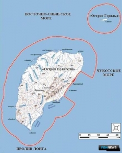 Острову Врангеля ужесточили охранный режим