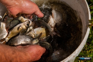 Власти Крыма готовы поддержать рыбоводов в страховании