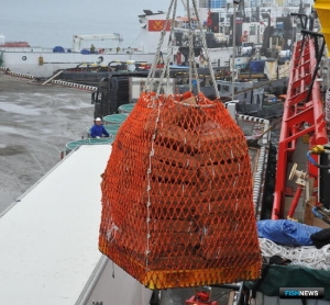 В списке российских поставщиков в Китай &mdash; вновь прибавление