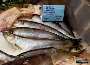 Прибрежные страны договорились об общем ОДУ на северо-востоке Атлантики