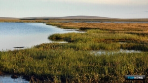 На Ямале прошли &laquo;рыбные&raquo; изыскания