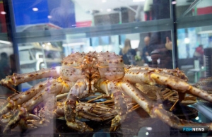 СМИ: В Южной Корее сильно подешевел российский краб