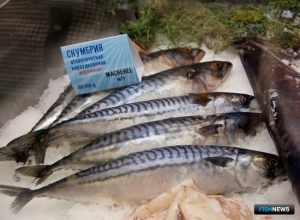 Рыба Фарер может попасть под запрет