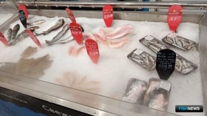 Минвостокразвития собирает предложения по &laquo;льготному автобилету&raquo; для рыбы