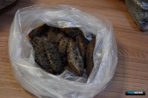 Борьба с контрабандой в лабораторных условиях