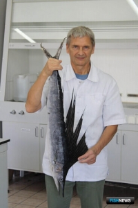 На Курилах поймали редчайшую в наших широтах рыбу