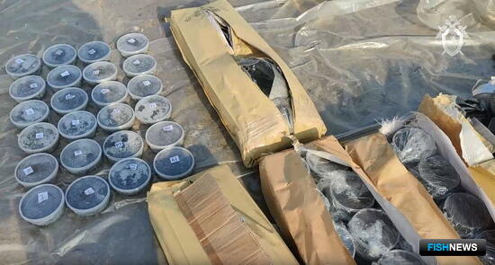 Грузовик с черной икрой и осетрами перехватили в Хабаровском крае Грузовик с черной икрой и осетрами перехватили в Хабаровском крае